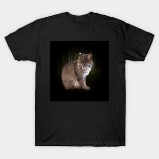 Bobcat cub T-Shirt